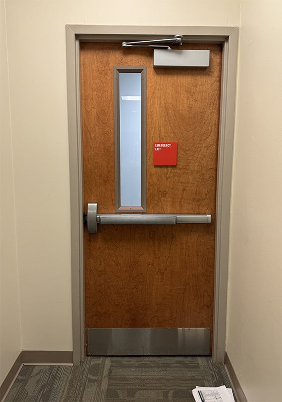 Fire-rated wood door